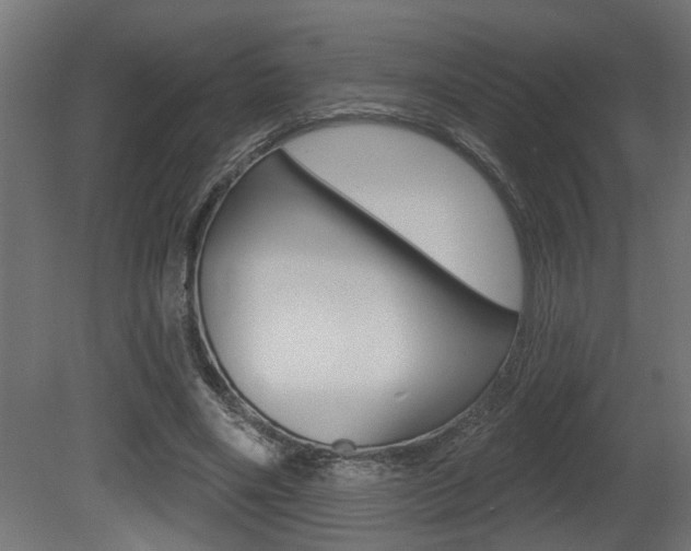 X0000081460490200701121045
