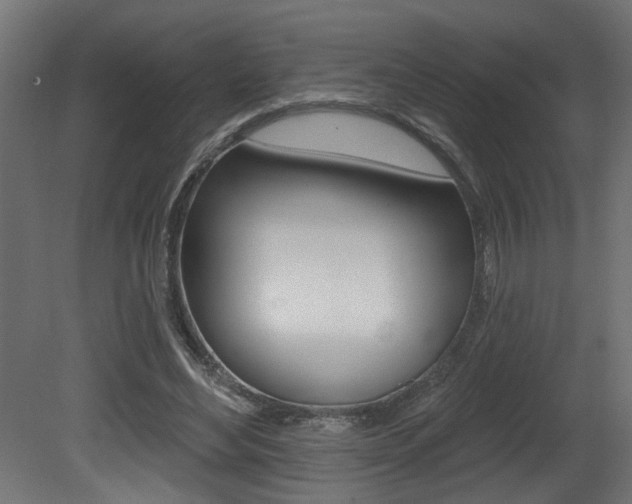 X0000081460492200701121045