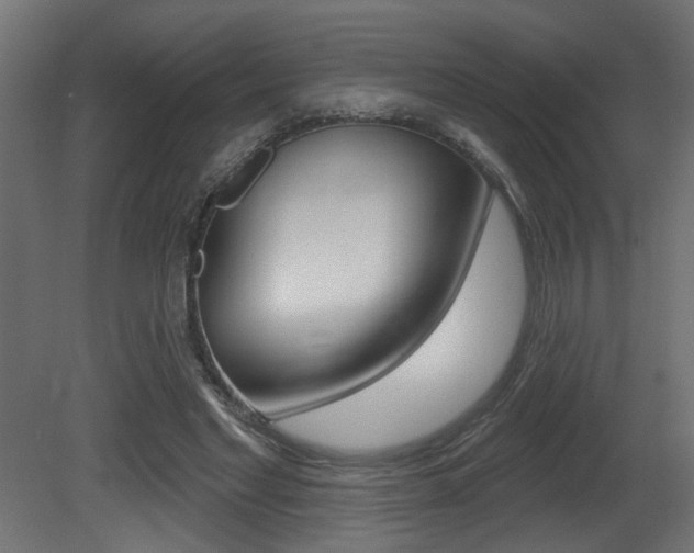 X0000081460493200701121045