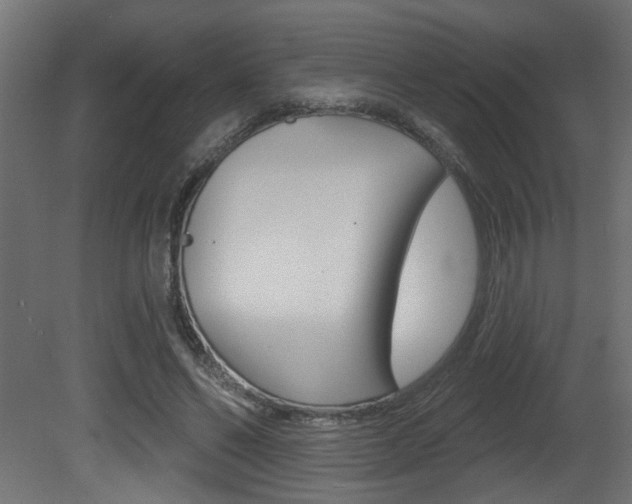 X0000081460494200701121045