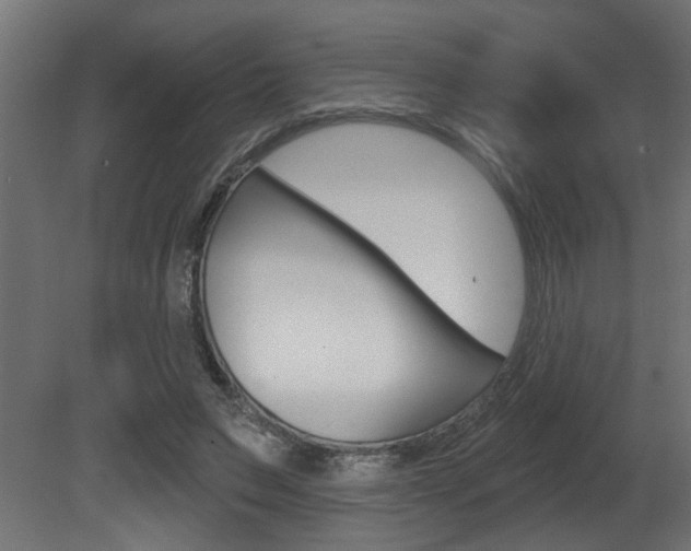 X0000081460495200701121045
