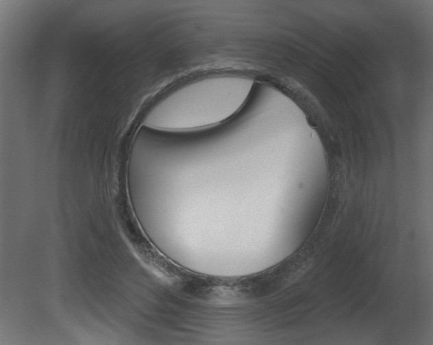 X0000081460496200701121045