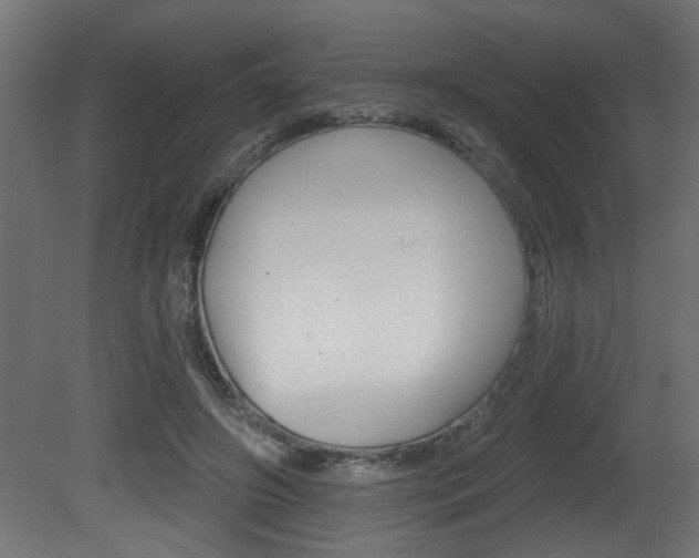 X0000081460498200701121045