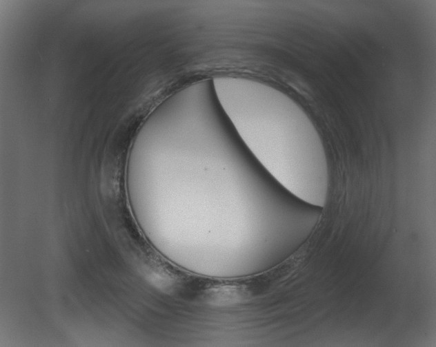 X0000081460499200701121045
