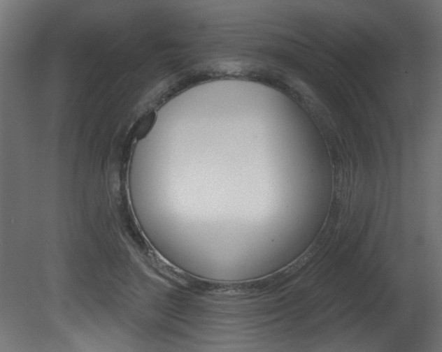 X0000081460500200701121045