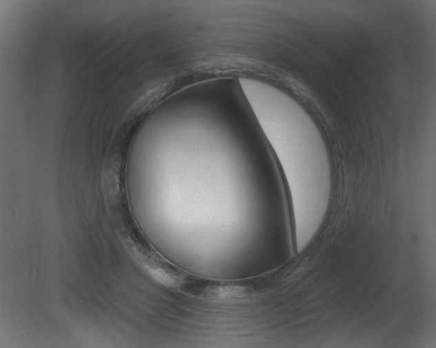 X0000081460501200701121045