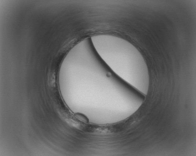 X0000081460502200701121045