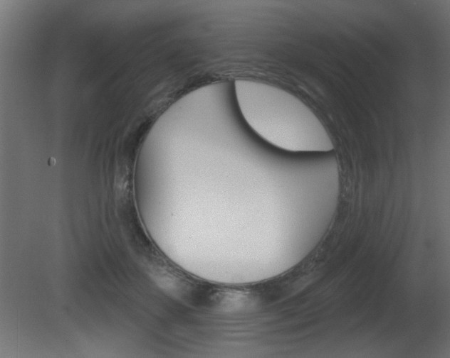 X0000081460507200701121045