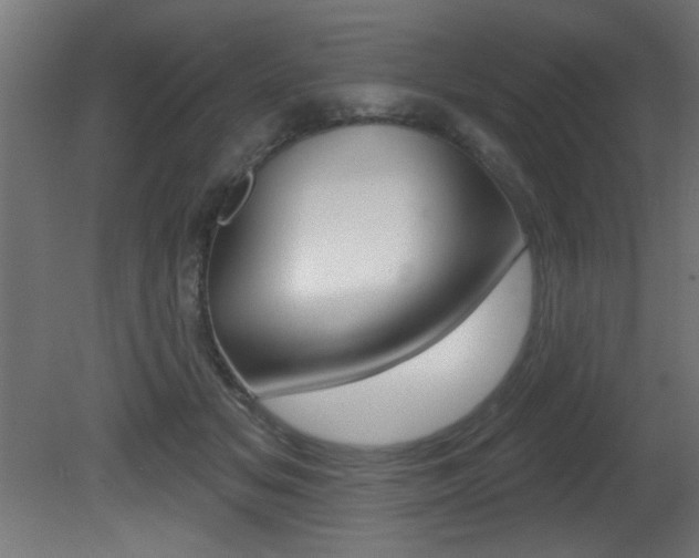 X0000081460509200701121045