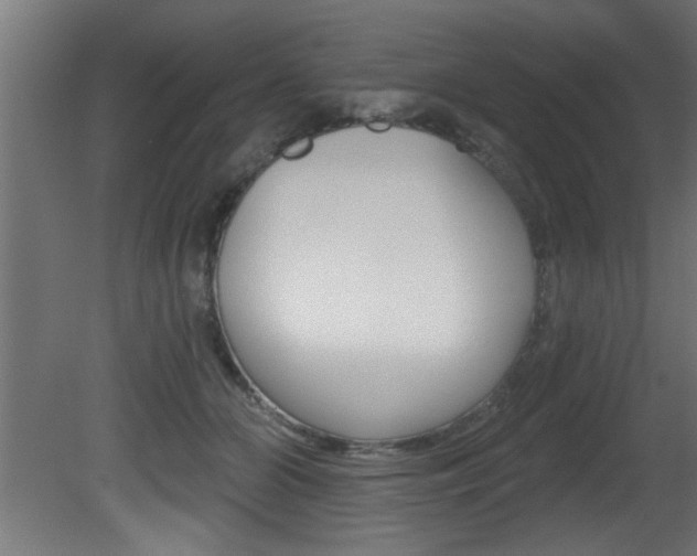 X0000081460510200701121045