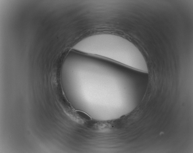 X0000081460512200701121045