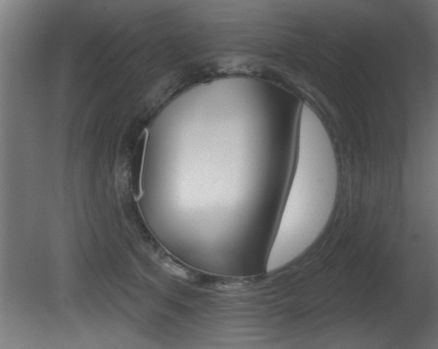 X0000081460513200701121045