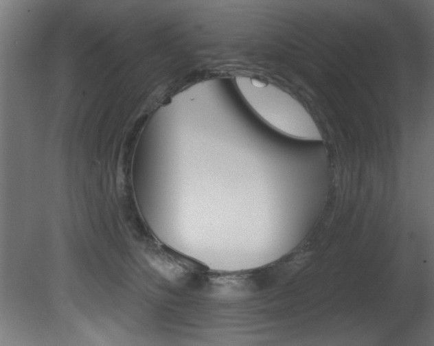 X0000081460516200701121045
