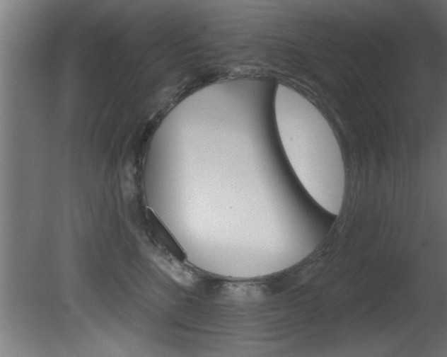 X0000081460520200701121045