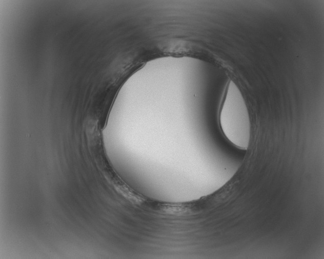 X0000081460521200701121045