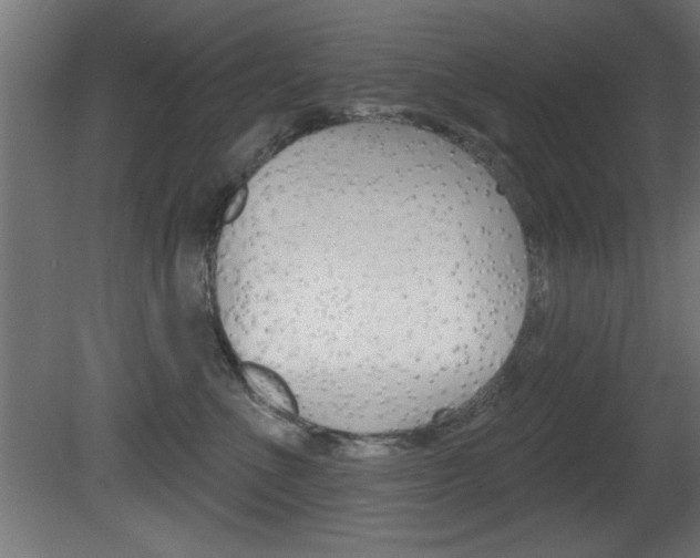 X0000081460523200701121045
