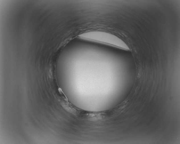X0000081460524200701121045