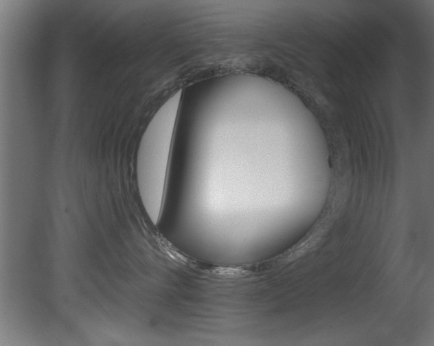 X0000081460528200701121045