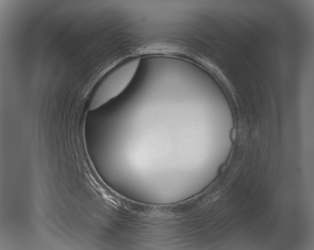 X0000081460529200701121044