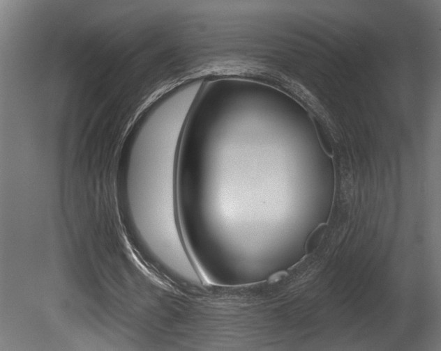 X0000081460530200701121044