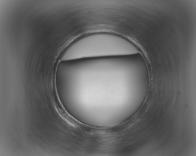 X0000081460533200701121044