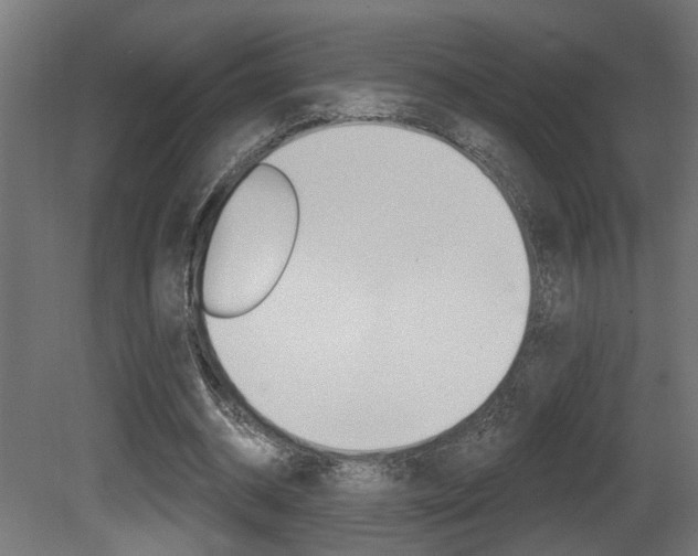 X0000081460534200701121044