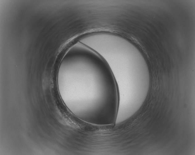 X0000081460536200701121044