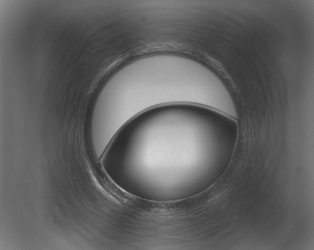 X0000081460538200701121044