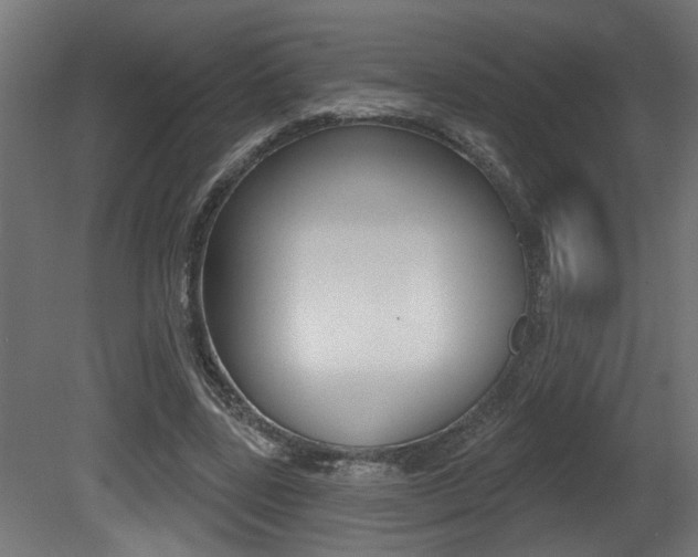 X0000081460539200701121044