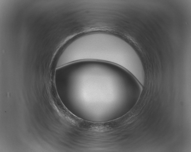 X0000081460540200701121044