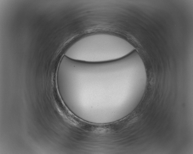 X0000081460542200701121044