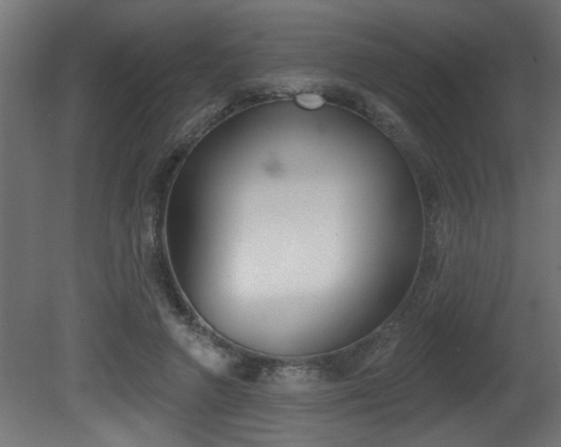 X0000081460546200701121044