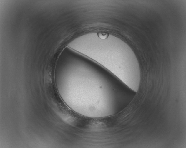 X0000081460547200701121044