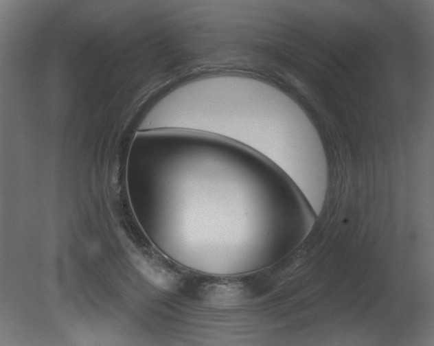 X0000081460548200701121044