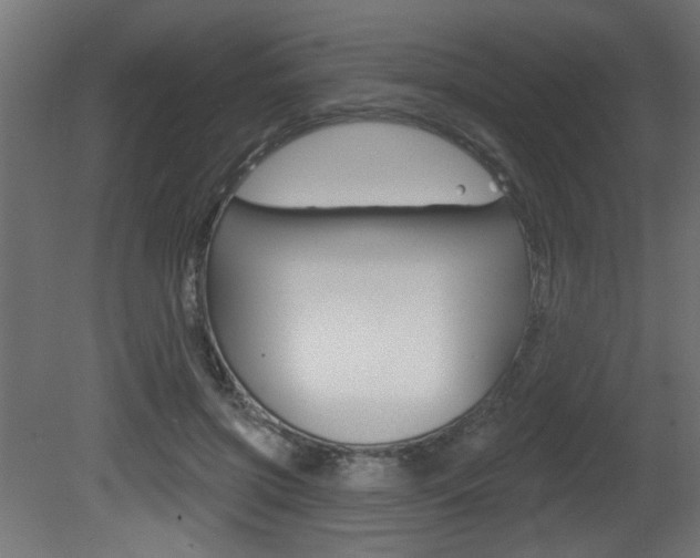 X0000081460549200701121044