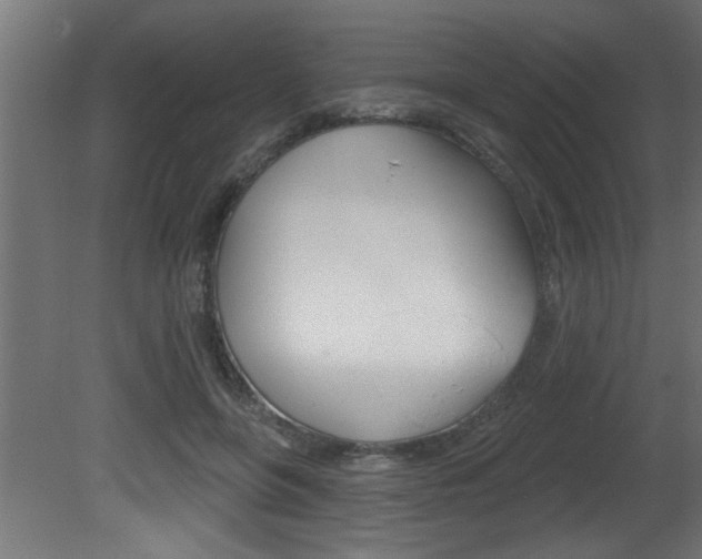 X0000081460551200701121044