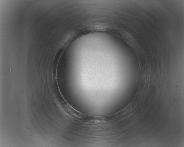 X0000081460552200701121044