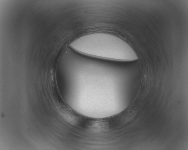 X0000081460555200701121044