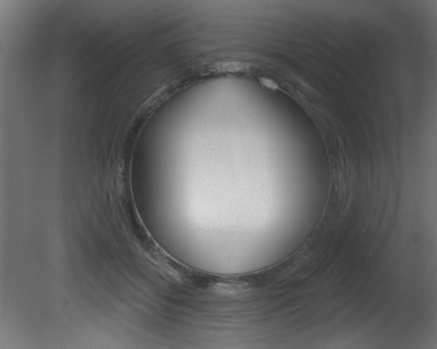 X0000081460556200701121044
