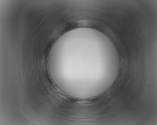 X0000081460557200701121044