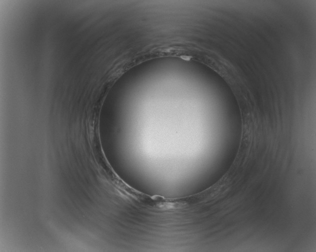 X0000081460558200701121044