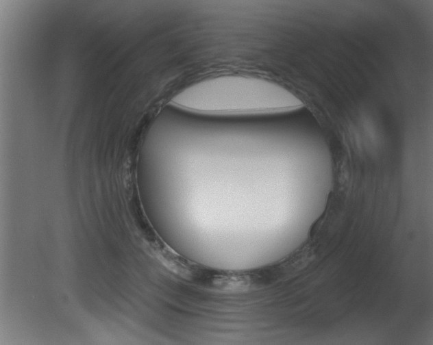 X0000081460559200701121044