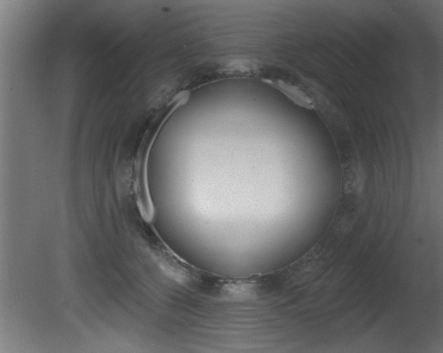 X0000081460560200701121044