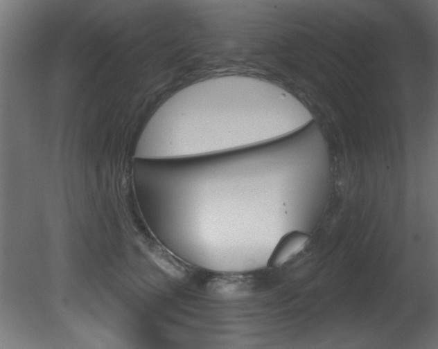 X0000081460563200701121044