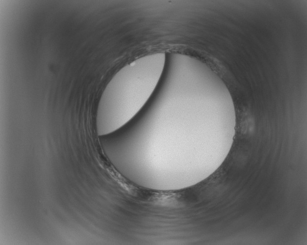X0000081460569200701121044