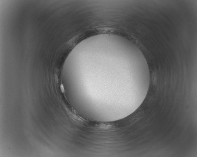 X0000081460570200701121044