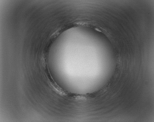 X0000081460572200701121044