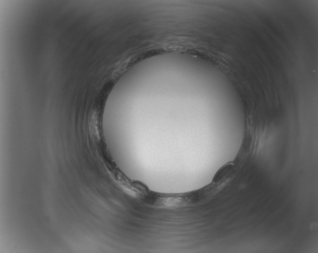 X0000081460575200701121045