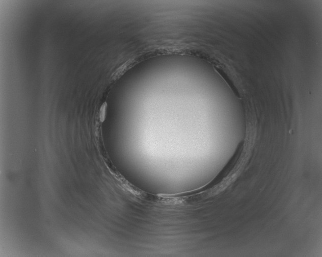 X0000081460576200701121045
