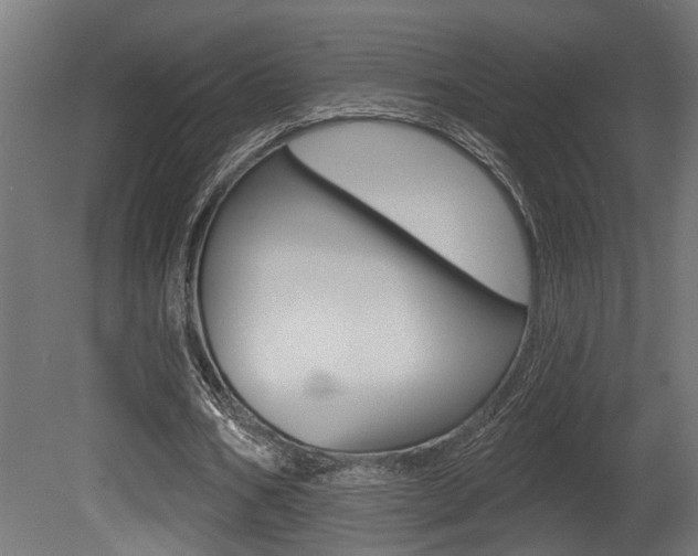 X0000081460578200701121044